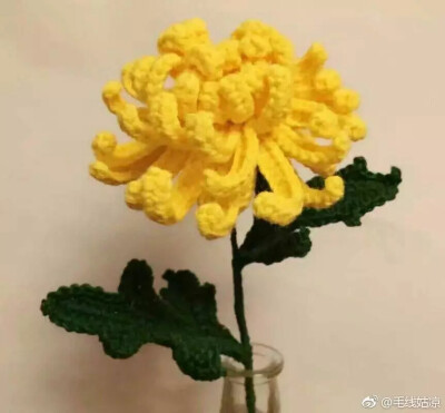 
蕾丝花图解