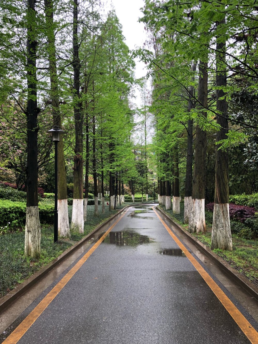 梅雨季与瑜伽有约