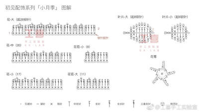 蕾丝花图解