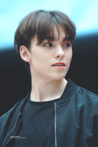 SEVENTEEN VERNON 崔韓率