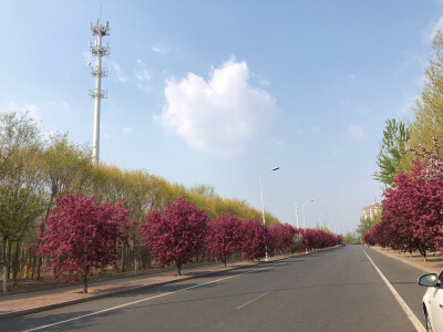 蓝天白云晴空万里