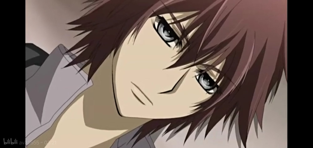 吸血鬼骑士支葵