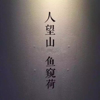 字壁纸