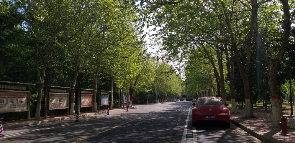 学姐从重庆带的小麻花
图书馆看书时拍的
和圆桌一起看得雷霆沙赞
小鸭子
晨跑时拍的一米八的大长腿
晨跑回来的学校