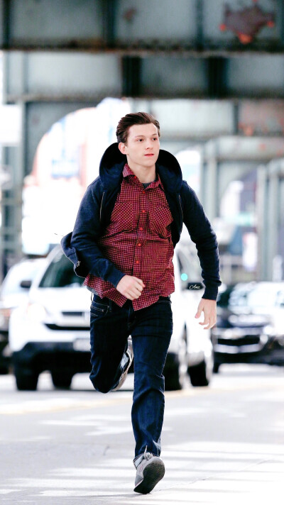 tomholland