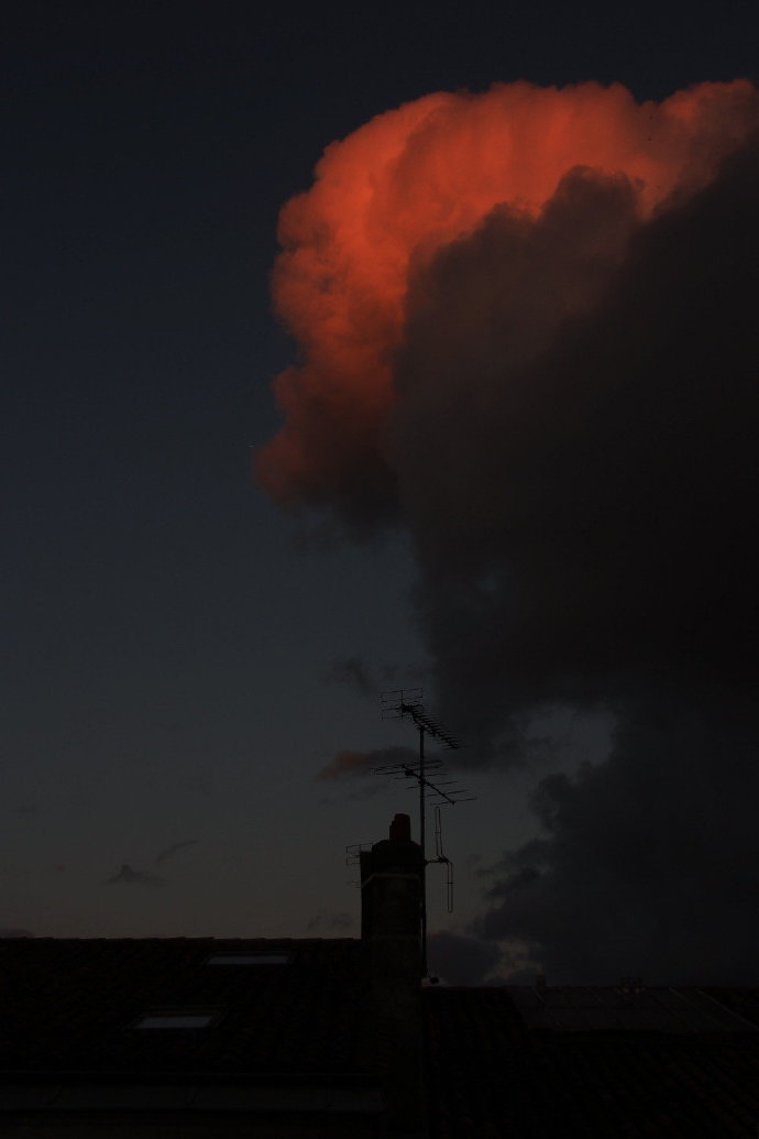 silver-frog ​​​​photography ​​​​