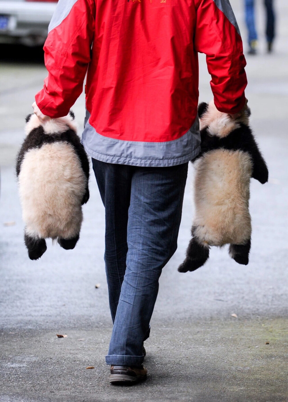 被扼住了命运的后颈皮..