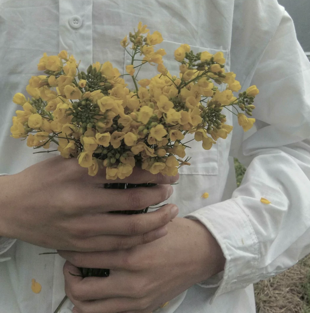 自截男头像
夏天的植物治愈系
侵权秒删，谢谢合作