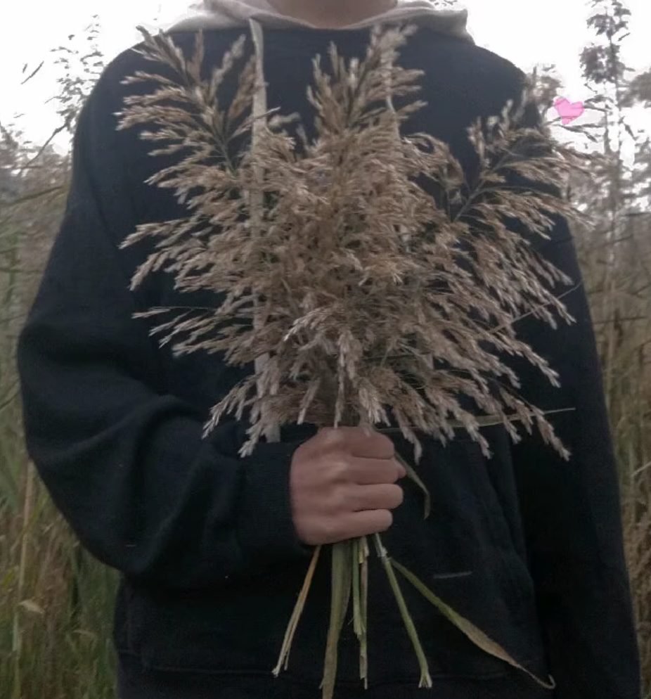 神降临的那天
自截男头，侵权秒删