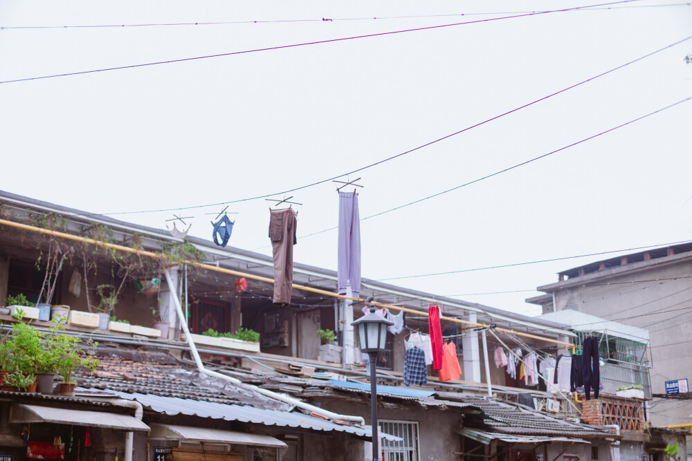 牛油果小姐
摄影：洪小漩
出镜：若男
场地：馒头山社区
馒头山社区在杭州摄影圈子里，那是有一定地位的。
在这里，有一颗杭州市斤的老灵魂。
在G20之前，馒头山社区应该还要多几分破败，不过，后来被修缮了一番。修缮后的模样，在我看来，仿佛是个老态龙钟的前辈，换了件相对体面的外套。
虽然我不知道社区居民对于修葺一新后的家如何思量，但是我依然喜欢走进些，再走进些，探访那些斑驳的民居，听听门前屋后的老杭州不紧不慢地聊着天。
若男那天穿得像一颗活泼的牛油果，素来极具亲和力的她瞬间和社区阿姨养的一条泰迪熟络起来。
泰迪叫贝贝，阿姨说，贝贝通体雪白，可是个白雪公主呢。只要有来着拍照的小年轻，大家总喜欢把贝贝逗上一逗。我们家贝贝呀可是馒头山的网红呢，是吧，阿姨把眼皮从手上忙活不停的针线活中抬了抬，看了看贝贝，如是说道。
生活在这里，应该也很有趣吧。