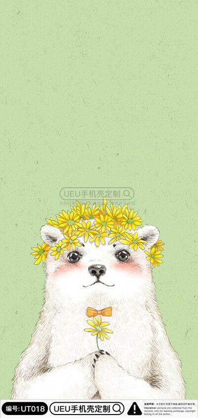 动漫手机壳 来图定制 支持任意机型