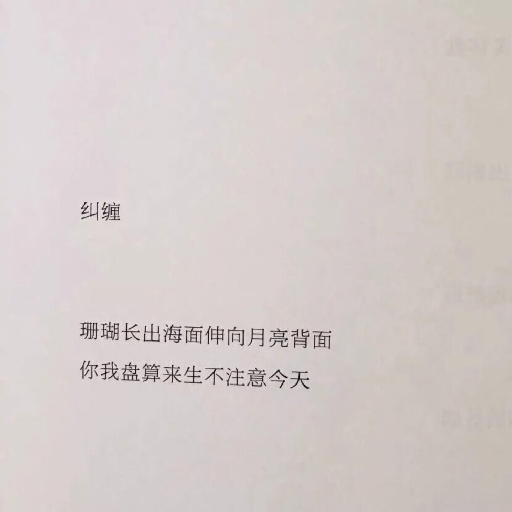 今日份文字背景