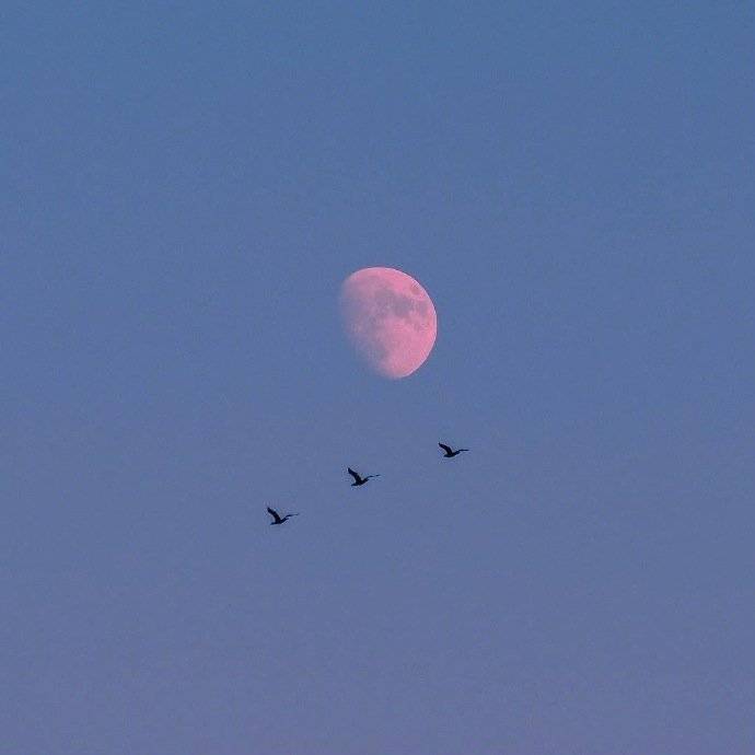 水墨画般的天空 愿生活安好