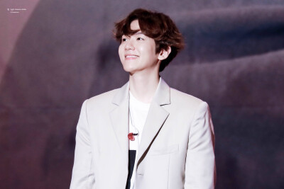 明星 壁纸 EXO 边伯贤 