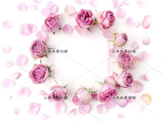 母亲节情人节玫瑰花摄影摄像相框图片装饰背景JPG设计素材jpg67