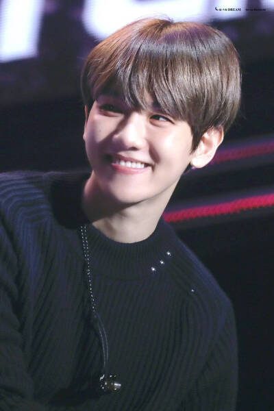 明星 壁纸 EXO 边伯贤 