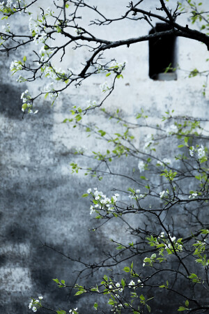 #风景# #摄影#