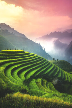 #风景# #摄影#