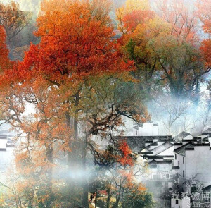婺源的旅游广告策略真得很不错。