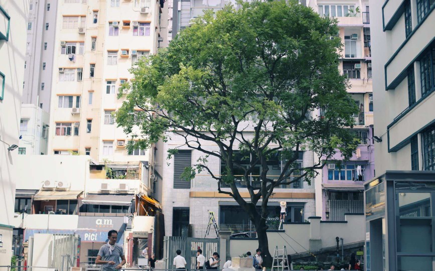 香港也清新