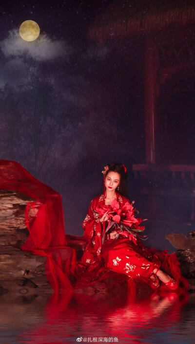 朱颜染尘
“昙花一现，终是如梦一场。”
摄/后：@扎根深海的鱼