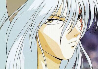 妖狐藏马 幽游白书 富坚义博