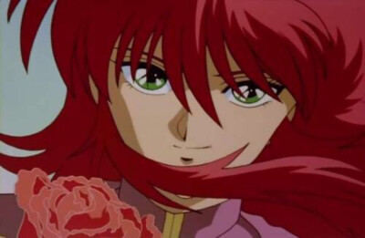 妖狐藏马 幽游白书 富坚义博