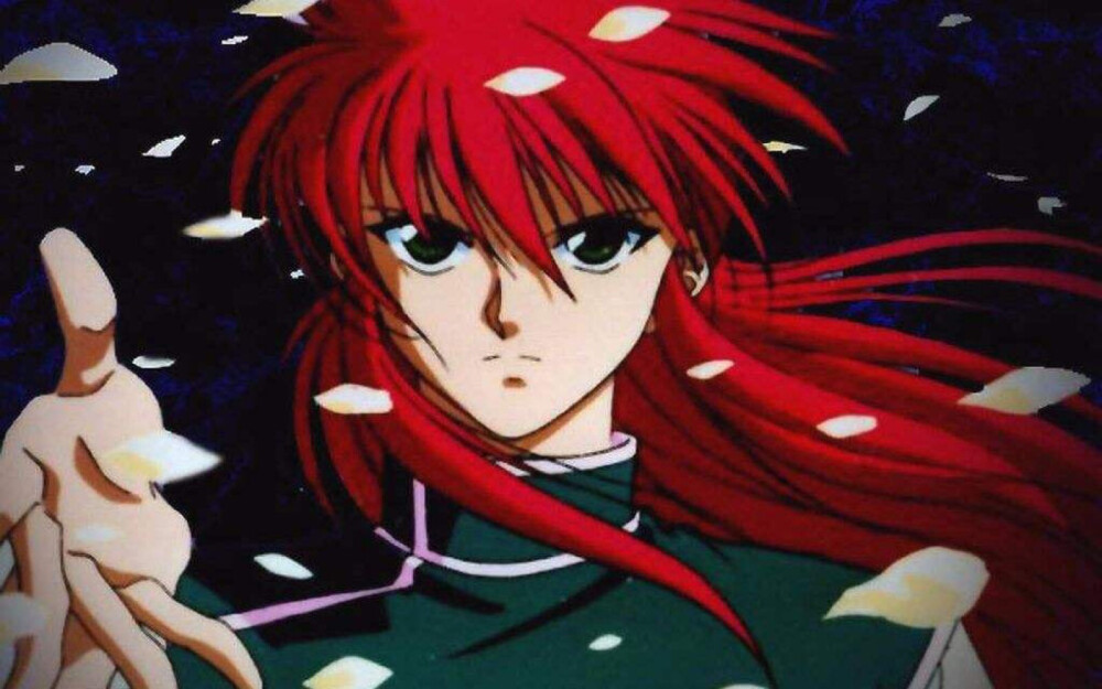 妖狐藏马 幽游白书 富坚义博