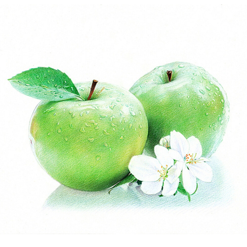 彩铅# #手绘# - 堆糖,美图壁纸兴趣社区