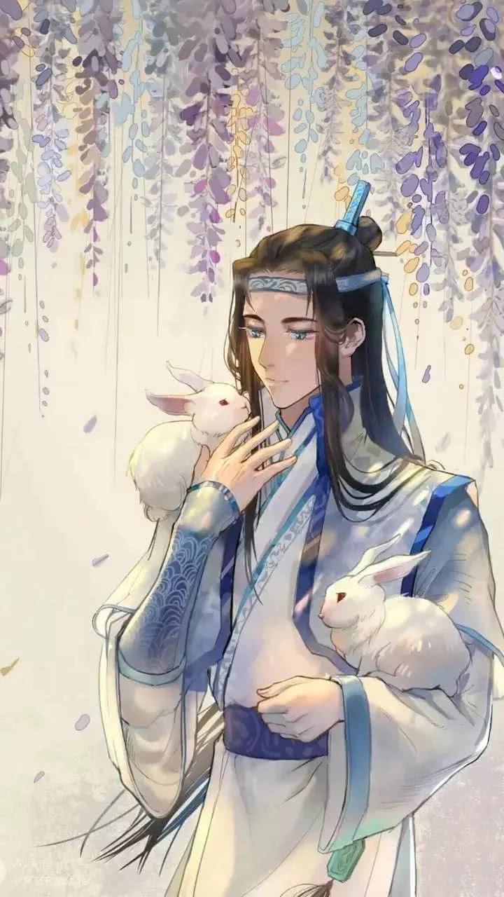 动漫#魔道祖师#魏无羡#蓝忘机