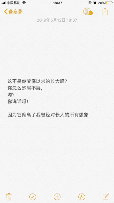 这不是你梦寐以求的长大吗？
你怎么愁眉不展，
嗯？
你说话呀！
因为它偏离了我曾经对长大的所有想象