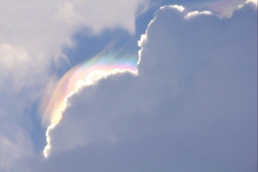 可爱 超甜～
背景图