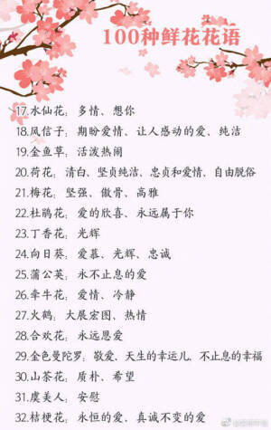 100种鲜花的花语  快收藏吧