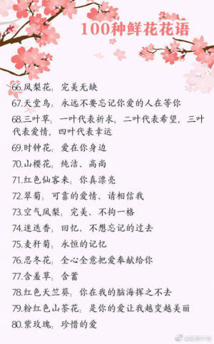 100种鲜花的花语  快收藏吧