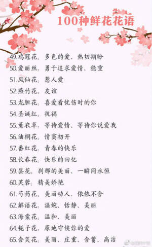 100种鲜花的花语  快收藏吧