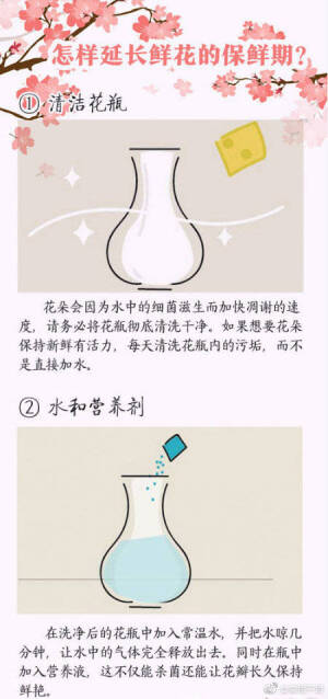 100种鲜花的花语  快收藏吧