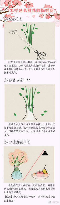 100种鲜花的花语  快收藏吧