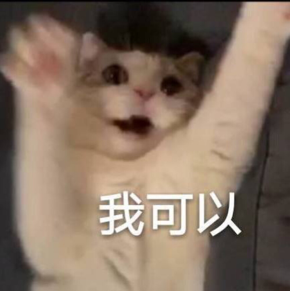 今日份表情包来啦
侵权立删
高糊表情包 喵咪 熊猫头 gif 金馆长 斗图 文字系列 厉害了 装逼大神 蛤蛤蛤 魔性 喵咪表情包 文字系列 搞笑 暴走漫画 文字控 表情包 