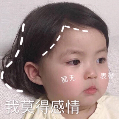 今日份表情包来啦
侵权立删
高糊表情包 喵咪 熊猫头 gif 金馆长 斗图 文字系列 厉害了 装逼大神 蛤蛤蛤 魔性 喵咪表情包 文字系列 搞笑 暴走漫画 文字控 表情包 