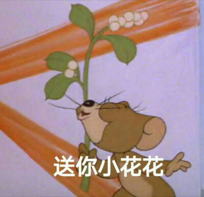 今日份表情包来啦
侵权立删
高糊表情包 喵咪 熊猫头 gif 金馆长 斗图 文字系列 厉害了 装逼大神 蛤蛤蛤 魔性 喵咪表情包 文字系列 搞笑 暴走漫画 文字控 表情包 