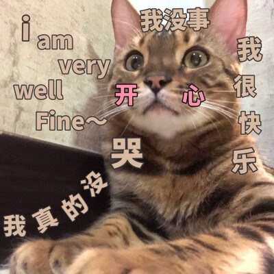 娜比，今日份表情包来啦
侵权立删
高糊表情包 喵咪 熊猫头 gif 金馆长 斗图 文字系列 厉害了 装逼大神 蛤蛤蛤 魔性 喵咪表情包 文字系列 搞笑 暴走漫画 文字控 表情包 