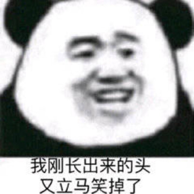 今日份表情包来啦
侵权立删
高糊表情包 喵咪 熊猫头 gif 金馆长 斗图 文字系列 厉害了 装逼大神 蛤蛤蛤 魔性 喵咪表情包 文字系列 搞笑 暴走漫画 文字控 表情包 