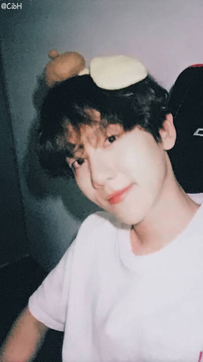 明星 壁纸 EXO 边伯贤 