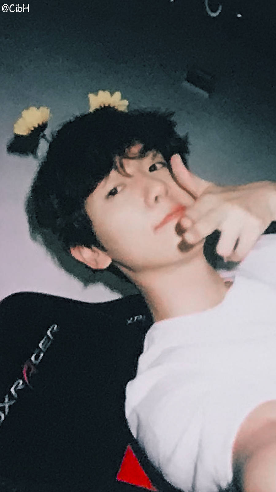 明星 壁纸 EXO 边伯贤 