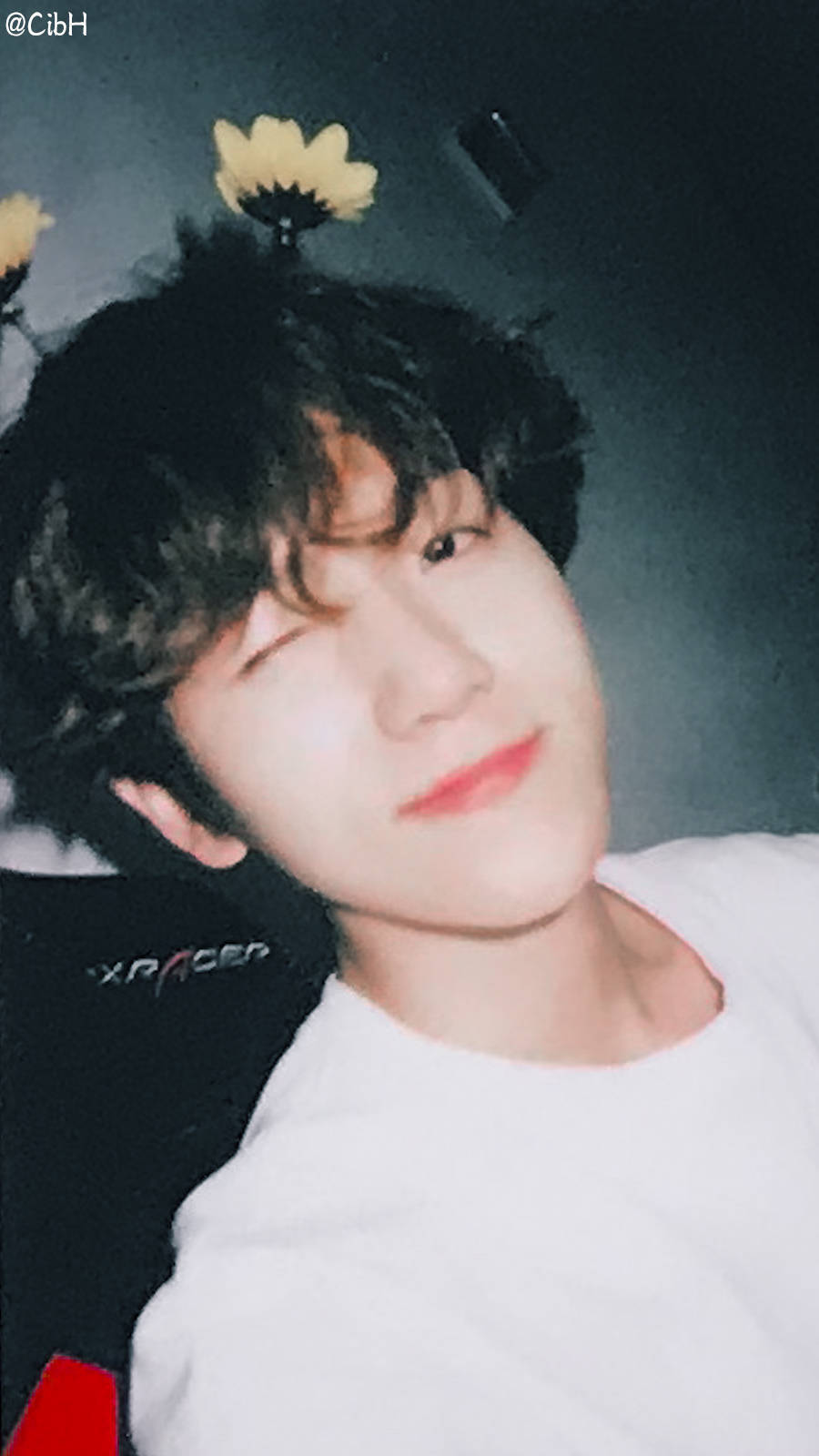 明星 壁纸 EXO 边伯贤 