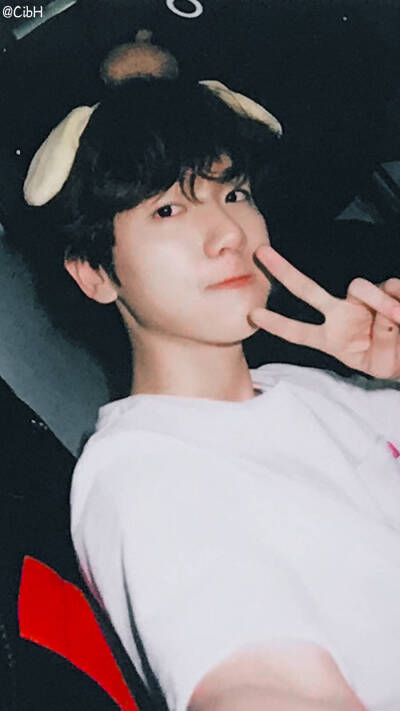 明星 壁纸 EXO 边伯贤 