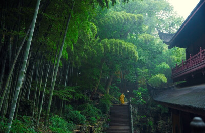 幽山古寺意凝深