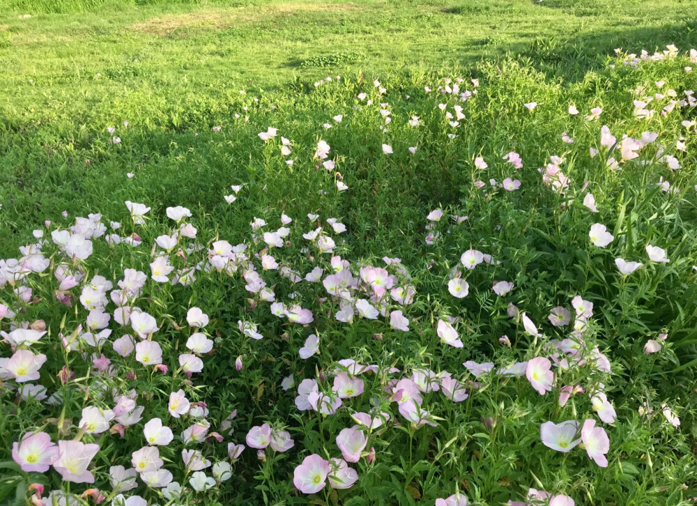 生活片段