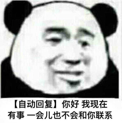 自动回复