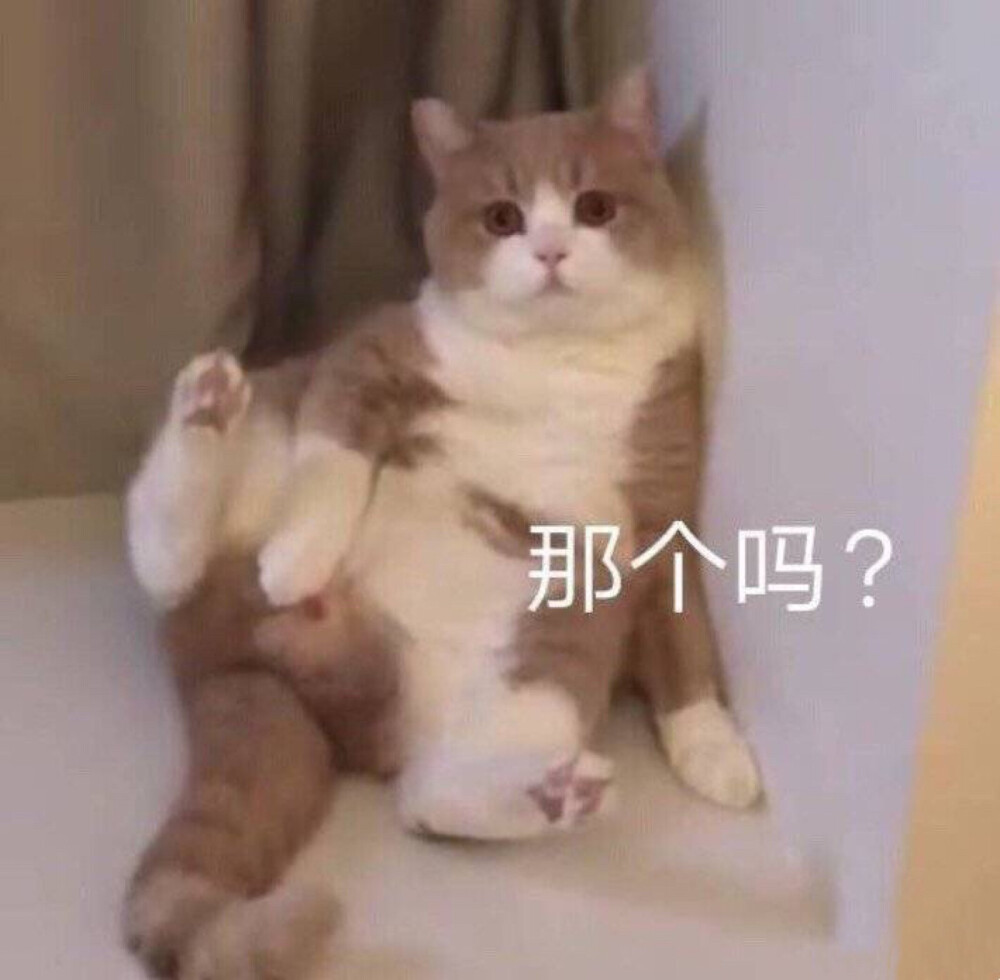 那个吗